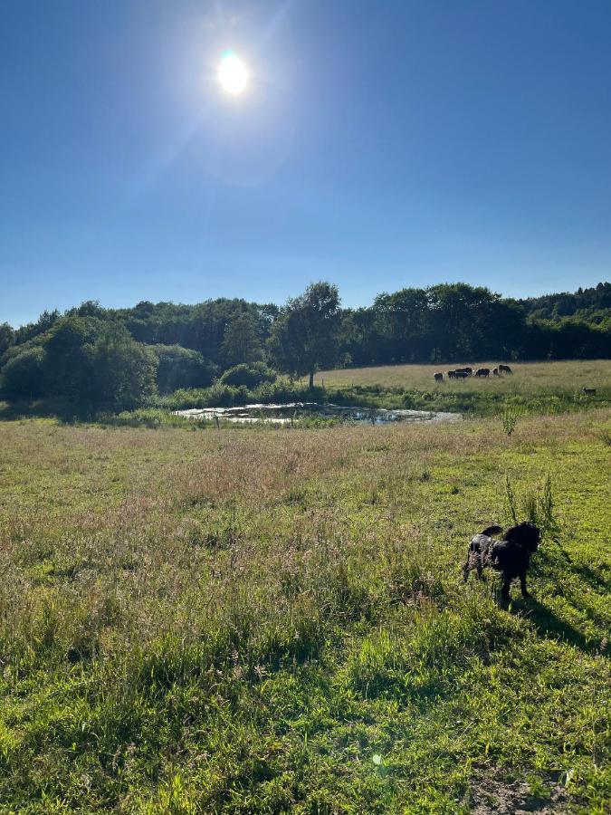Gaestfri Overnatning Gjern Exteriér fotografie